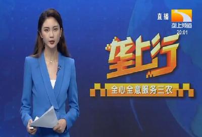 垄上行 2021-09-29