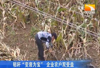 秸秆“变废为宝” 企业农户双受益