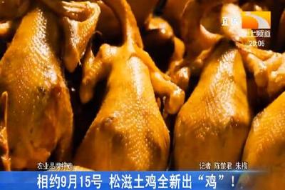 9月15日 松滋鸡品牌发布暨产销对接大会