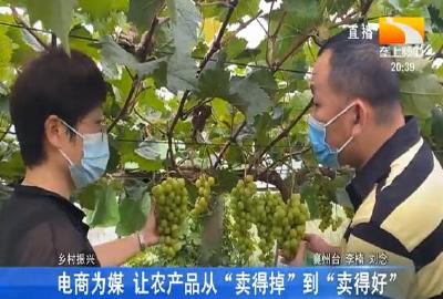 电商为媒 让农产品从“卖得掉”到“卖得好”