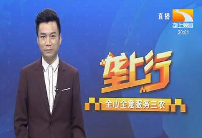 垄上行 2021-09-16