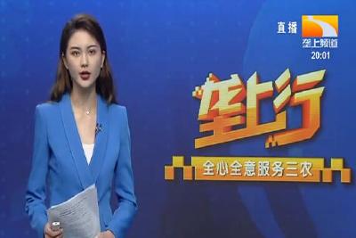 垄上行 2021-09-04