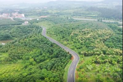 安陆：串珠成线 构建全域旅游新格局