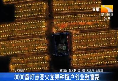 3000盏灯点亮火龙果种植户创业致富路