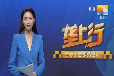 垄上行 2021-09-08