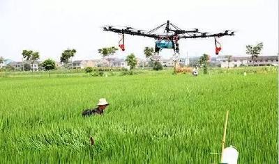 农业插上“科技”翅膀 襄州全力推进农业现代化