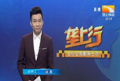 垄上行 2021-09-01