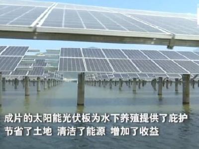 水上发电水下养鱼 湖北咸宁大力发展清洁能源