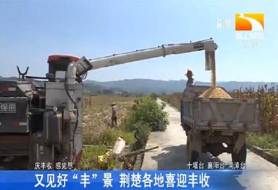 又见好“丰”景 荆楚各地喜迎丰收