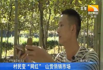 村民变“网红” 山货俏销市场