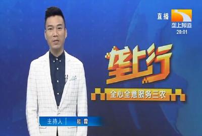 垄上行 2021-09-21