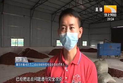 退伍士兵变“辣椒大王” 年销售额超2000万元