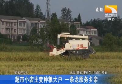 超市小店主变种粮大户 一条龙服务乡亲
