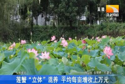 莲蟹“立体”混养 平均每亩增收上万元