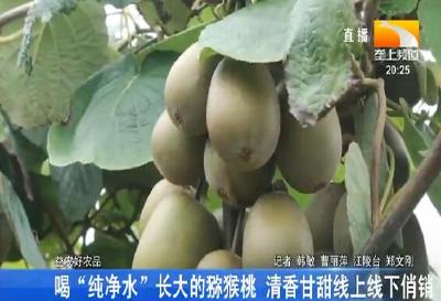 喝“纯净水”长大的猕猴桃 清香甘甜线上线下俏销