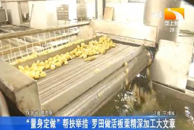 “量身定做”帮扶举措 罗田做活板栗精深加工大文章