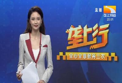 垄上行 2021-09-05