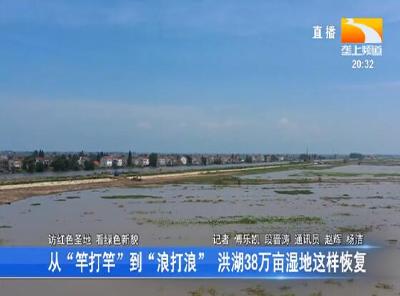 从“竿打竿”到“浪打浪” 洪湖38万亩湿地这样恢复