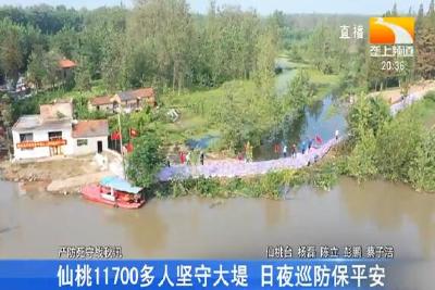 仙桃11700多人坚守大堤 日夜巡防保平安