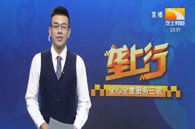 垄上行 2021-09-02