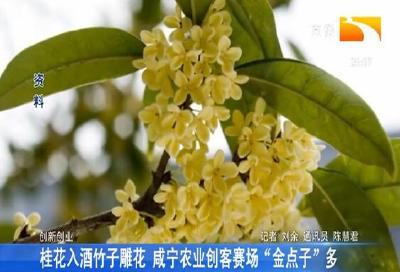 桂花入酒竹子雕花 咸宁农业创客赛场“金点子”多