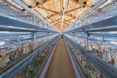 天门改造治理560家畜禽规模养殖场