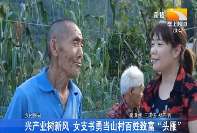 兴产业树新风 女支书勇当山村百姓致富“头雁”