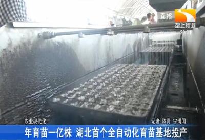 年育苗一亿株 湖北首个全自动化育苗基地投产