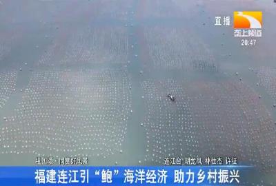 福建连江引“鲍”海洋经济 助力乡村振兴