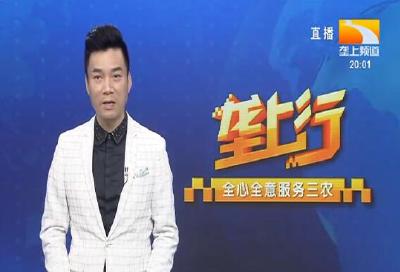 垄上行 2021-10-13