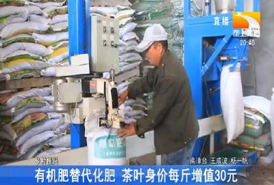 有机肥替代化肥 茶叶身价每斤增值30元