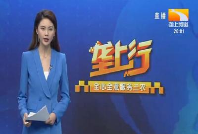 垄上行 2021-10-22