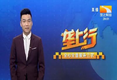 垄上行 2021-10-28