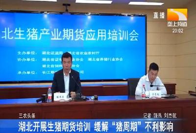 湖北开展生猪期货培训 缓解“猪周期”不利影响