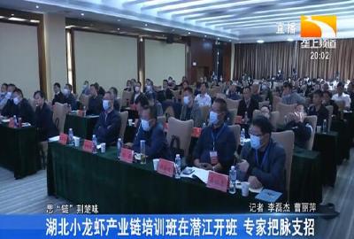 湖北小龙虾产业链培训班在潜江开班 专家把脉支招
