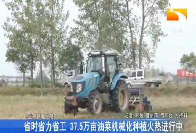 省时省力省工 37.5万亩油菜机械化种植火热进行中