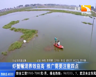 虾蟹鱖混养效益高 推广需要注意四点