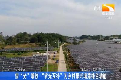 借“光”增收 “农光互补”为乡村振兴增添绿色动能