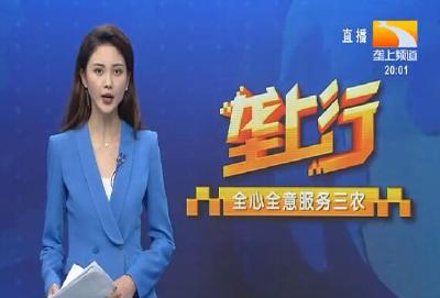 垄上行 2021-10-11