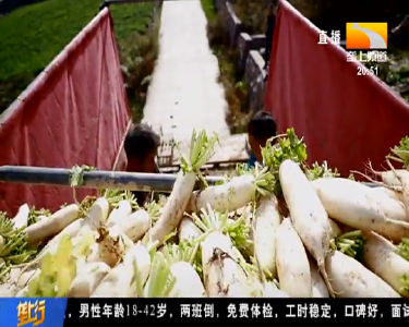 产业转型 让村民吃上生态饭