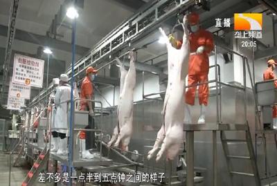 双管齐下 湖北计划两年内填补畜牧业兽医缺口