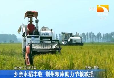 千亩水稻迎丰收 稻花香里说丰年