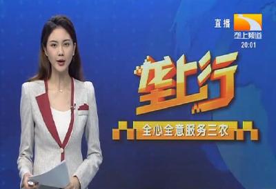 垄上行 2021-10-02