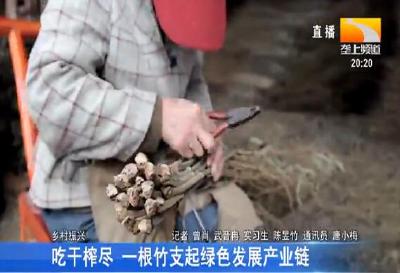 吃干榨尽 一根竹支起绿色发展产业链