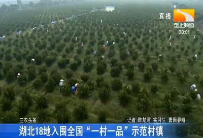 湖北18地入围全国“一村一品”示范村镇