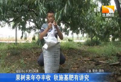 果树来年夺丰收 秋施基肥有讲究