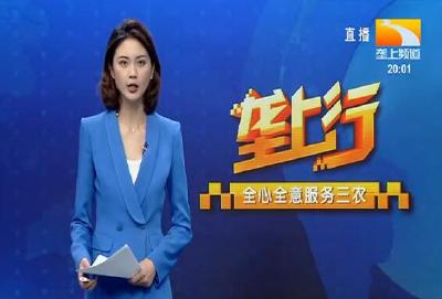 垄上行 2021-10-26