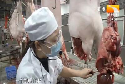 严控“肉盘子”安全 湖北兽医 “大比武”