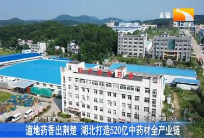 道地药香出荆楚 湖北打造520亿中药材全产业链