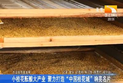 小桂花酝酿大产业 聚力打造“中国桂花城” 响亮名片
